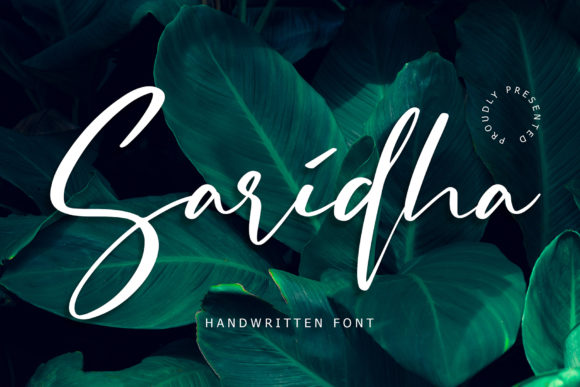 Elevate Your Web Design with Saridha: A Premium Script Font