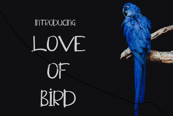 Love of Bird: A Versatile Font for Business Branding