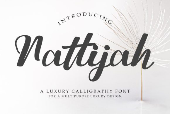 Nattijah: A Script Font with Elegance and Flair